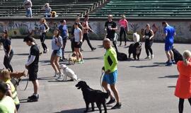 Bėgimas su šunimis