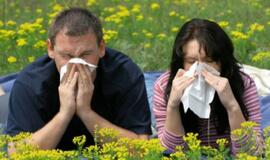 Profesorė apie alergiją žiedadulkėms: tik pažintis su gamta leidžia įgyti imunitetą