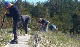 Šeštadienį Kuršių nerijoje rengiama talka