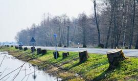 Šilutė-Rusnė kelio stiprinimo darbams - 6,3 mln. eurų