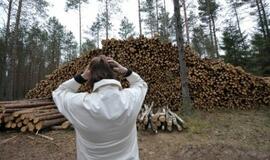 Urėdijų reforma: valstybiniai miškai pavojuje