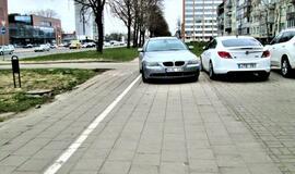 Vakarų Lietuvos automobilių statymo ypatumai