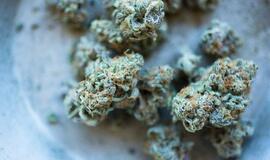 Įkliuvo nuo narkotikų apsvaigęs BMW vairuotojas