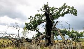 Kuršių slėpiniai - naujame turistiniame gide