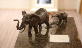 Kruizinis laivas „Queen Victoria“