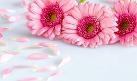 Šalies vadovai sveikina su Motinos diena