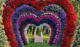 Ilgąjį savaitgalį Pakruojo dvaras pražydo gėlių kilimais