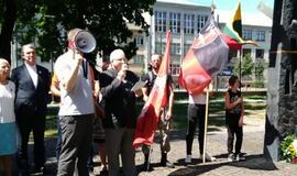 Ką reiškia Lietuvių nacionalistų partijos vėliava?