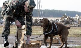 Nelegalai dreba prieš šiuos pareigūnus