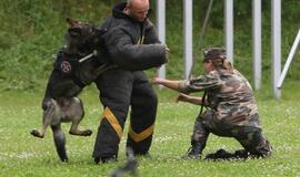 Nelegalai dreba prieš šiuos pareigūnus