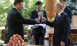 V.Putinas Si Dzipingui gimtadienio proga padovanojo ledų