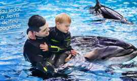 Delfinų terapija pakeitė gyvenimą: autizmo spektro sutrikimą turinti mergaitė išmoko reikšti jausmus
