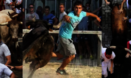 Pamplonoje per bėgimą su buliais subadyti 2 žmonės