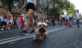 Jūros šventės eisena