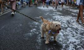 Jūros šventės eisena