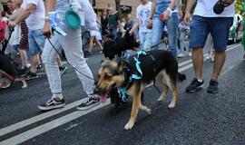 Jūros šventės eisena