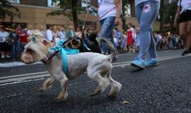 Jūros šventės eisena