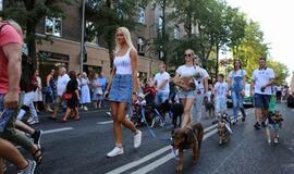 Jūros šventės eisena