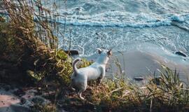 Klaipėdietis įvykdė asmeninį iššūkį