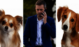 Apkartusios Andriaus Tapino vasaros atostogos