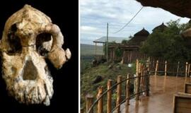 Etiopijoje rasta kaukolė suteikia naujų duomenų apie žmonių evoliuciją