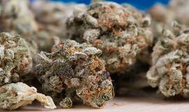 Festivalyje Kairių g. įkliuvo dar du narkotikų turėję asmenys