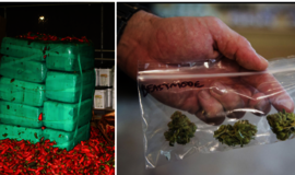 JAV muitininkai konfiskavo daugiau nei 3 tonas pipirų siuntoje paslėptos marihuanos