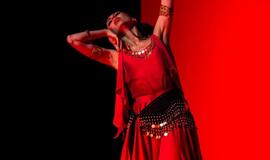 Ukrainos baleto žvaigždės sužavėjo Klaipėdos publiką