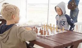 Vasaros paplūdimio sporto festivalis