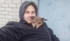 Saulė Stankevičiūtė