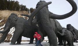 Gamtos galvosūkiai, kurių mokslas neišsprendžia