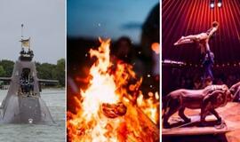 Ką sekmadienį veikti Klaipėdoje ir aplink?