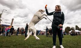 Pasaulinė gyvūnų diena Gargžduose