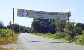 Gabalėlis Afrikos Saksonijoje