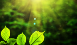 Savaitės horoskopas (rugsėjo 2–8 d.)