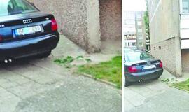 Skaitytojo nuomonė: "Patys pjauna šaką, ant kurios sėdi"