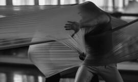 Trisdešimt šokėjų kurs „judančią architektūrą“