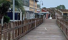 Uraganas Dorianas klaipėdietės vertinimu