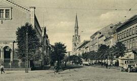 600 "akvarelinių" stebuklų