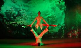 Alisa stebuklų šalyje!