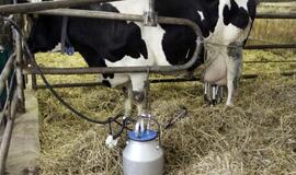 Iš prekybos vietų atšaukiama virš 300 tonų pieno produktų (sąrašas)