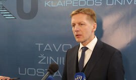 "Man keista, kad teismas bando spręsti politinius santykius"