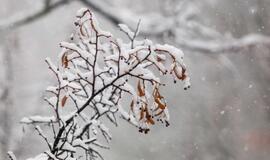 Ne už kalnų ir žiema: kokių orų šiais metais tikėtis Europai?