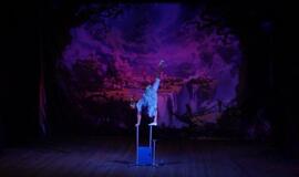 Alisa stebuklų šalyje