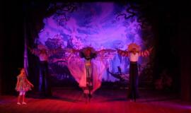 Alisa stebuklų šalyje