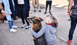 Mersedesų mylėtojai dėmesiu apipylė ir augintinius