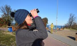 Stebėjo migruojančius paukščius - nustebino genys