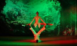 Alisa stebuklų šalyje