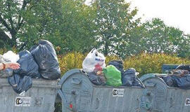 Dituvos problemos – naujakuriai prieš tikruosius sodininkus?