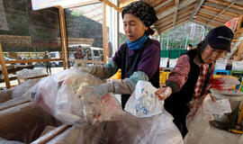 Ko mes galėtume pasisemti iš japonų kultūros?